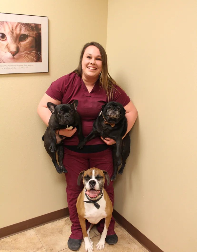 Carmen at Dunes Animal Hospital, with three dogs
